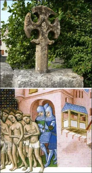 Quelle hrsie du Moyen-Age s'tait tablie dans des villes du Tarn, comme Foix et Albi ?