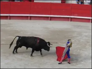 Quel est ce spectacle espagnol ou le torrero attire le taureau grce  une cape rouge ?