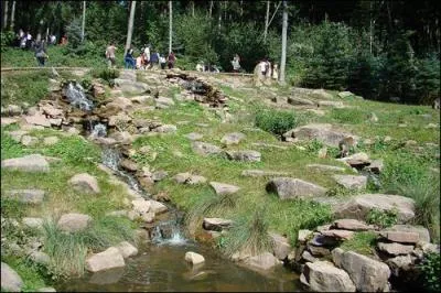 A Kintzheim, dans le centre Alsace, un parc animalier a t ouvert en 1969. Vous pouvez y dambuler au milieu d'animaux en libert. Ce sont des ...