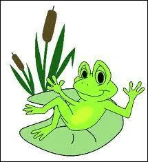 Quelle est la dure de vie d'une grenouille ?