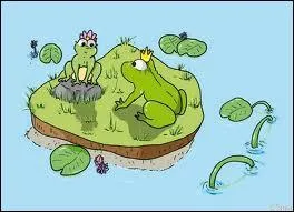 Comment se nomme le petit de la grenouille ?