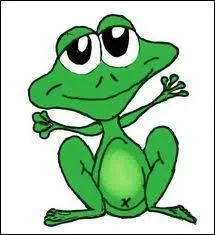 Quel est le cri de la grenouille ?