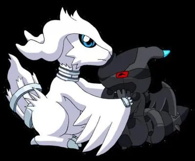 Quel est le Pokmon complmentaire  Reshiram et Zekrom ?