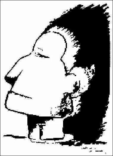 Que voyez-vous sur l'image ?