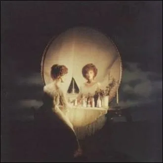 Que voyez-vous sur l'image ?