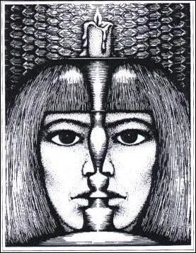 Que voyez-vous sur l'image ?