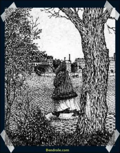 Que voyez-vous sur l'image ?