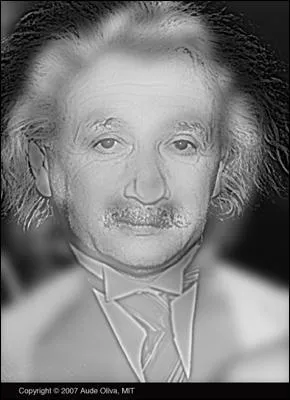 Que voyez-vous sur l'image ?