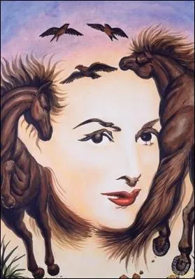 Que voyez-vous sur l'image ?