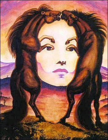 Que voyez-vous sur l'image ?