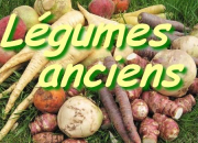 Quiz Lgumes anciens