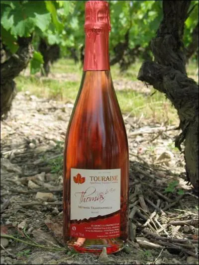 Le vignoble tourangeois produit des vins... ?