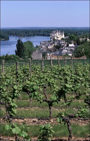 Parmi ces vins, lequel n'est pas produit en Touraine ?