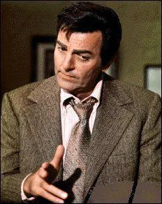 D'abord agent pour une socit de renseignement, il terminera dtective  la fin de la srie.