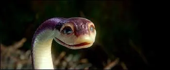 Quel est le nom de la domestique de la famille de Soren ?