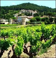 De quel cpage est issue la traditionnelle Clairette de Die ?