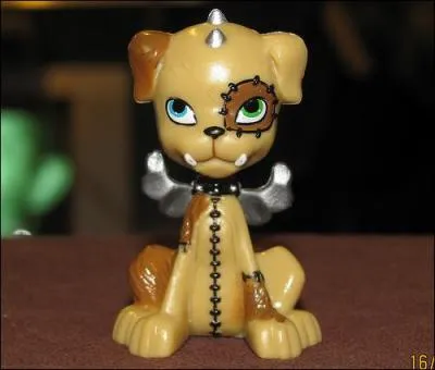 A qui Watzit appartient-il ?