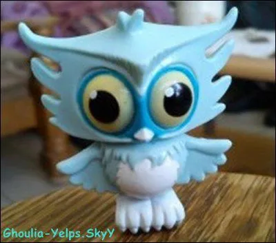 A qui Neptuna appartient-elle ?