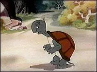 Les Tortues Clbres. Quel est le prnom de cette tortue lonely tunes. ( assez molle, il est vrai) ?