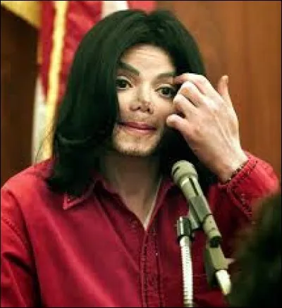 En novembre 2002, quelle ''petite bêtise'' Michael a-t-il faite à Berlin ?