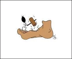 Esprons que ce quizz ne vous a pas trop :