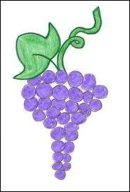 Que lui dites vous au bout du compte ?