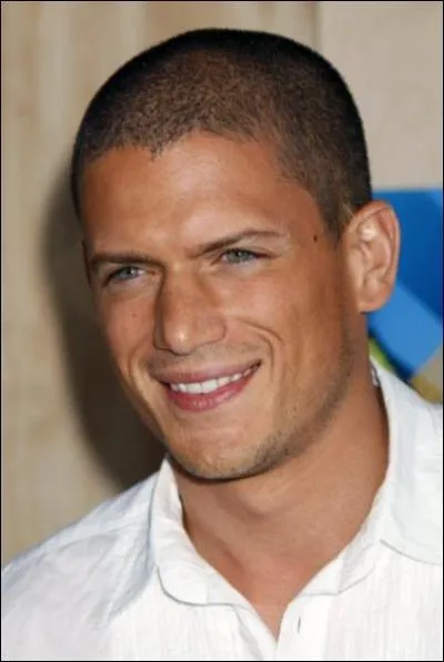 Dans quel pays est n� Wentworth Miller ?