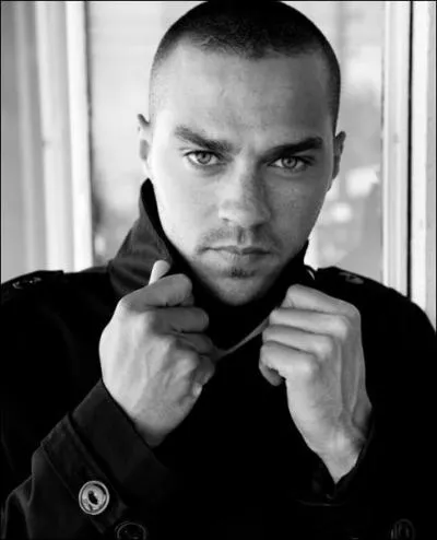 Quel r�le joue Jesse Williams dans 'Grey's Anatomy' ?