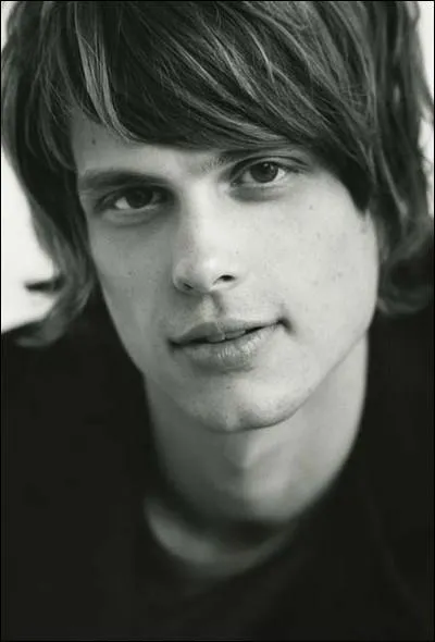 Quel est le QI du Dr Spencer Reid (Matthew Gray Gubler) dans 'Esprits criminels' ?