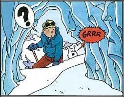 Quel nouvel album des aventures de Tintin est dit cette anne l ?