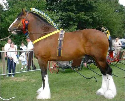 Un autre, mais lequel est-ce ?