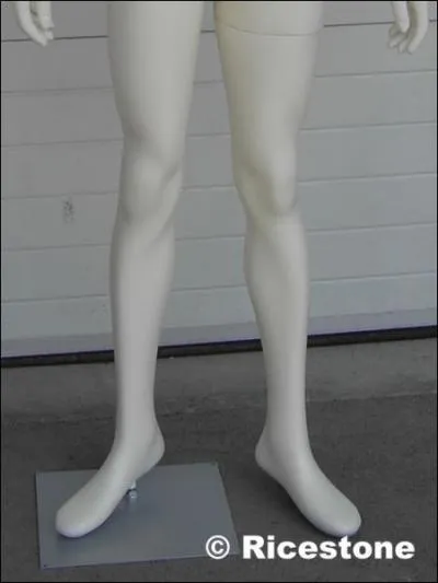 What are they ? ( Jambes)