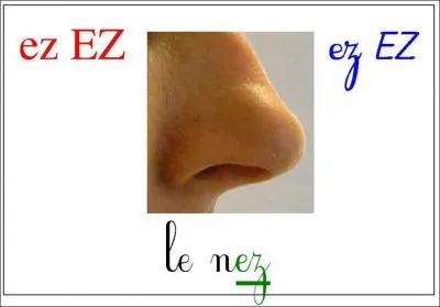 What is it ? ( nez).