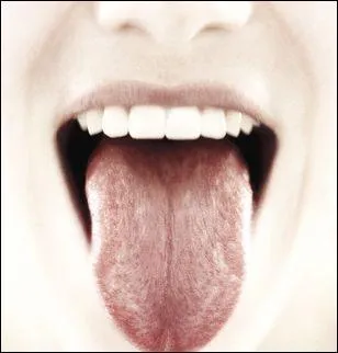 What is it ? ( langue).