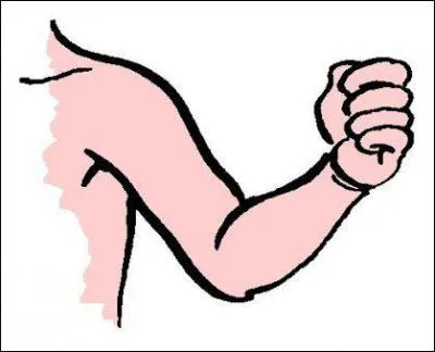 What is it ? (bras).