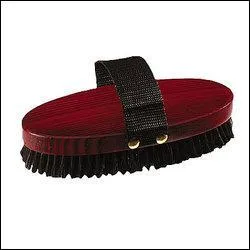 Quelle est cette brosse ?