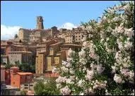 Capitale des parfums, quelle est cette ville des Alpes maritimes ?
