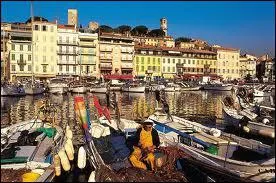 Outre son festival, cette ville est aussi connue pour son vieux port, le march Forville, son casino Palm beach, c'est :