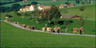 Quel est le contraire du mot rural ?