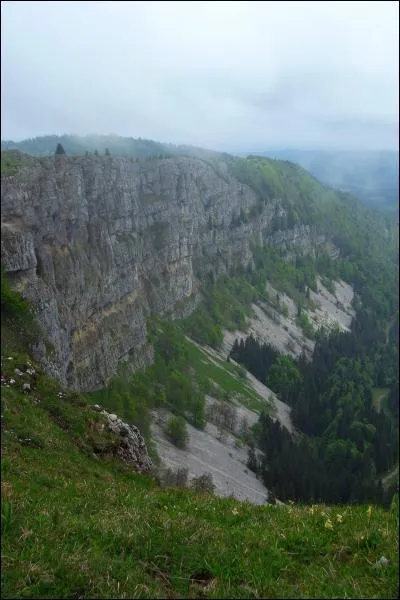 Qu'est-ce que le Mont-D'Or ?