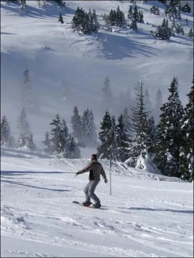 Quel sport d'hiver est la star en Franche-Comt ?