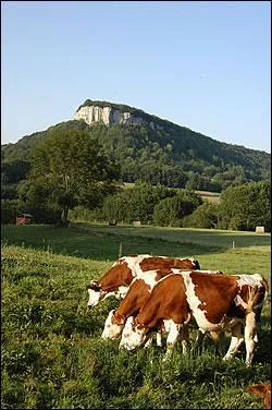 Combien d'habitants y a-t-il dans la rgion ( part les vaches ;) ) ?