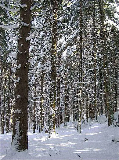 Quelle est la particularit du paysage en Franche-Comt ?