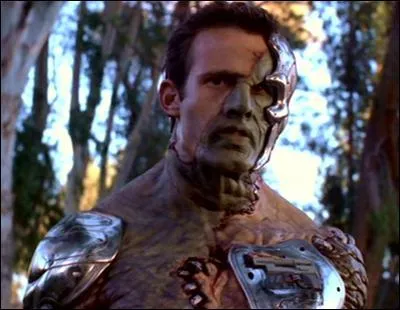 Dans quelle saison apparat-il ?