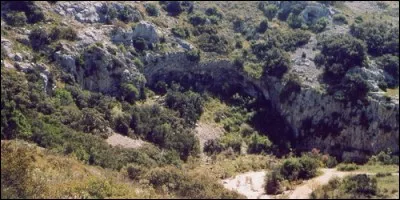 La garrigue pousse en Bretagne.