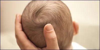 Comment appelle-t-on la membrane qui sépare les os sur le sommet du crâne des bébés ?