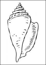 Qu'est-ce que c'est ?