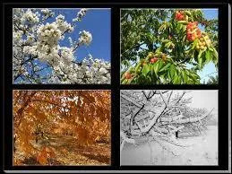 A quel musicien doit-on les 4 saisons ?