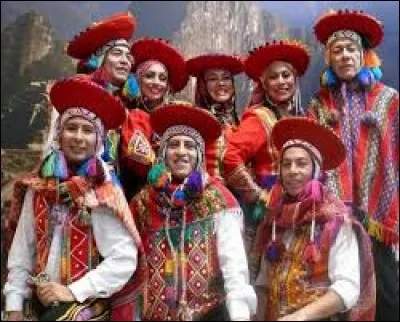 C : Quelle proposition n'est PAS un instrument à vent ?