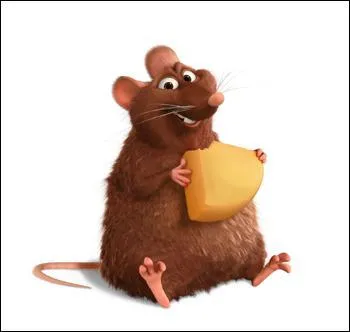 Frre du petit rat de la question 10.